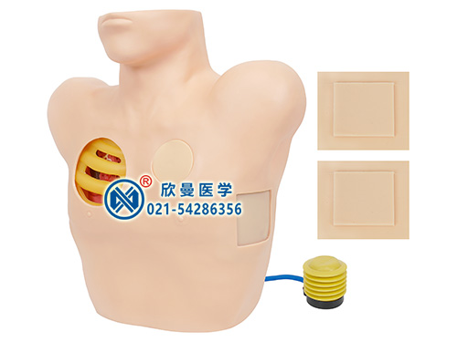 胸腔穿刺引流模型正面結構